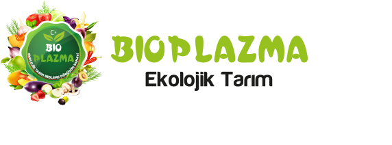 Bio Plazma ® 2024
